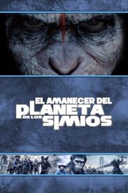 El planeta de los simios: Confrontación